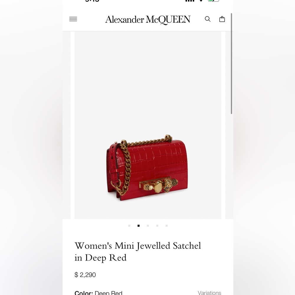 Brand new . Never worn. Alexander McQueen bag - Picture 3 of 8